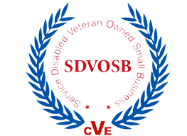 SDVOSB-1 pluma design element